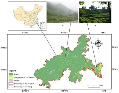 Conflict or coexistence? Synergies between nature conservation and traditional tea industry development in Wuyishan National Park, China